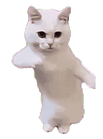 Emoji 17334-cat-dance