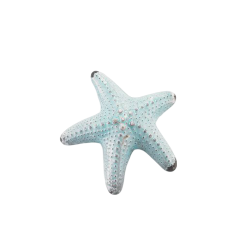 Emoji 28218-bluestarfish