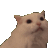 Emoji 34899-screaming-cat