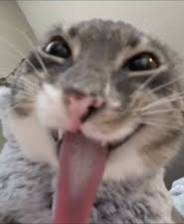 Emoji 43801-anotherfreaky-cat