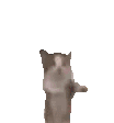 Emoji 69501-cat