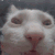 Emoji 70190-catinsanity