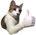Emoji 71178-thumbsupcat