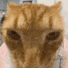 Emoji 76076-cat-drip