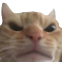 Emoji 82117-angrycat
