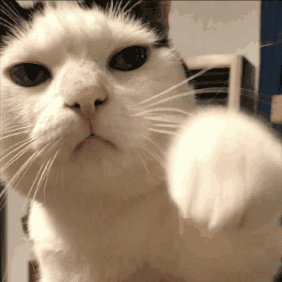 Emoji 84581-catpunch