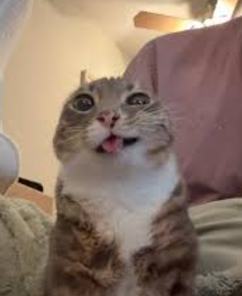 Emoji 8743-highcatto