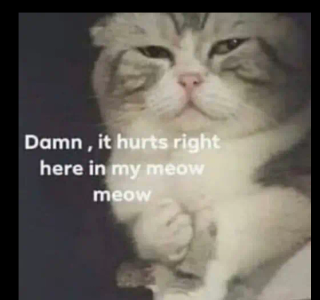 Emoji 89816-hurt-cat