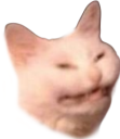 Emoji 92169-cringecat