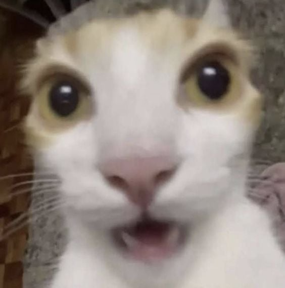 Emoji 93363-shockedcat