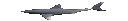 Emoji 96998-swimming-shark